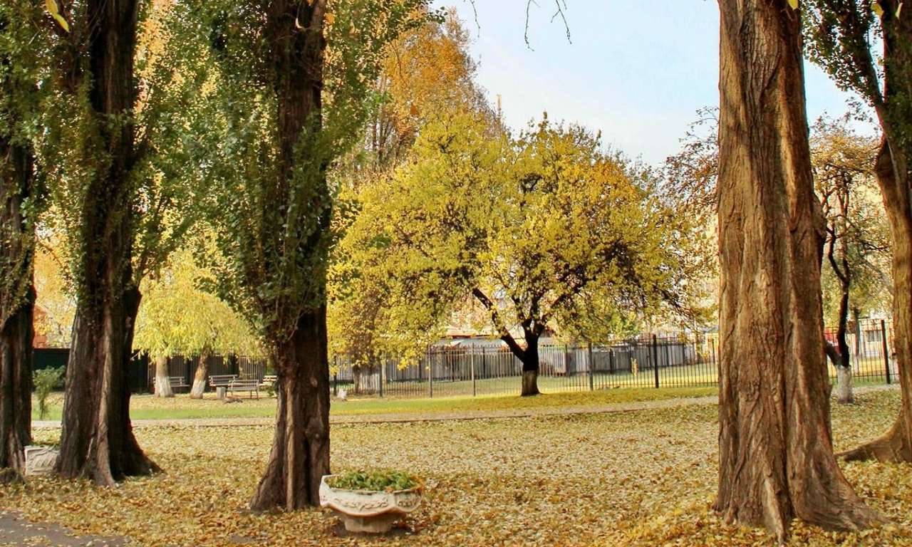 І просто осінь щоб була красива... Осінь у Черкасах (ФОТОРЕПОРТАЖ)-1069