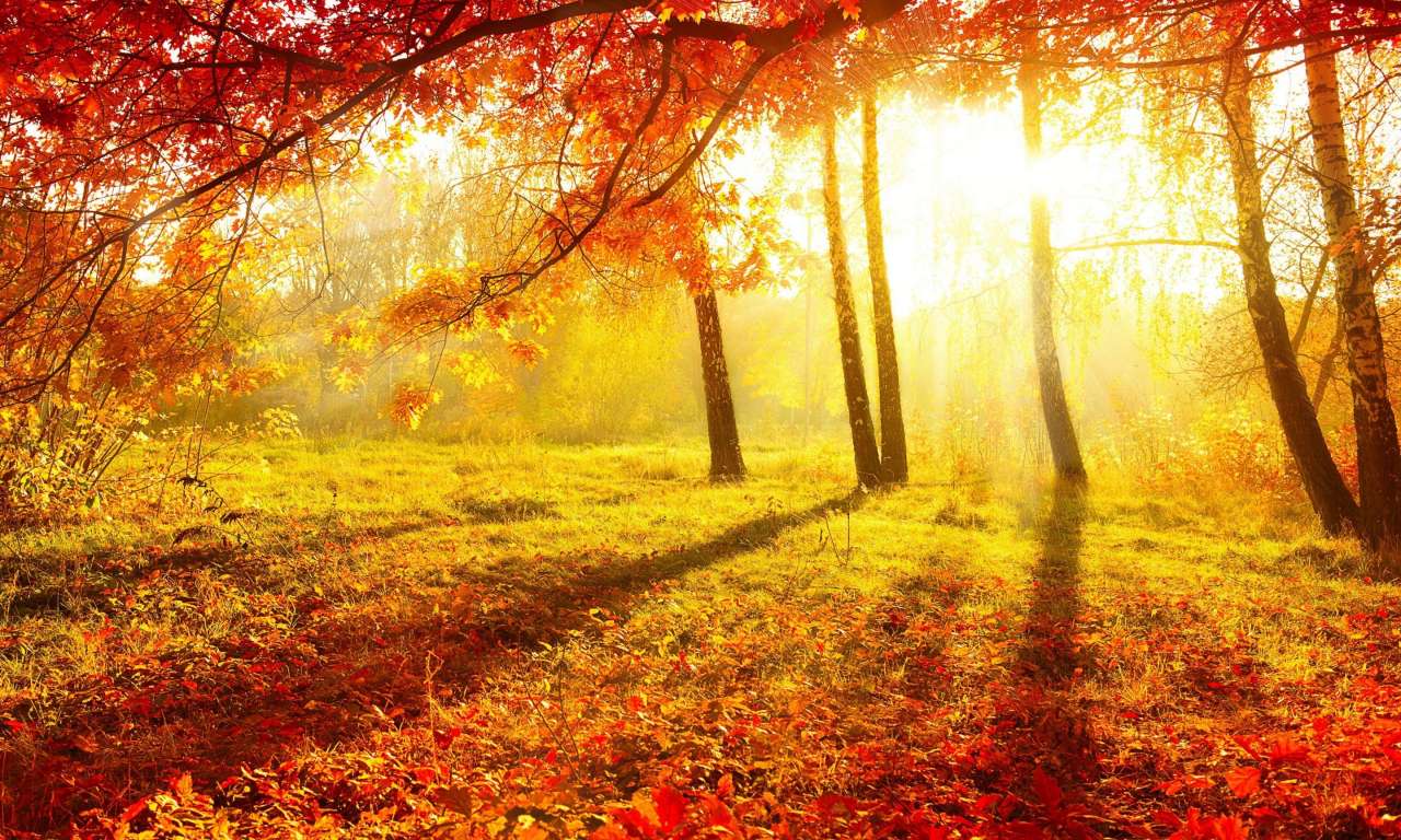 На Черкащині продовжується тепла осінь