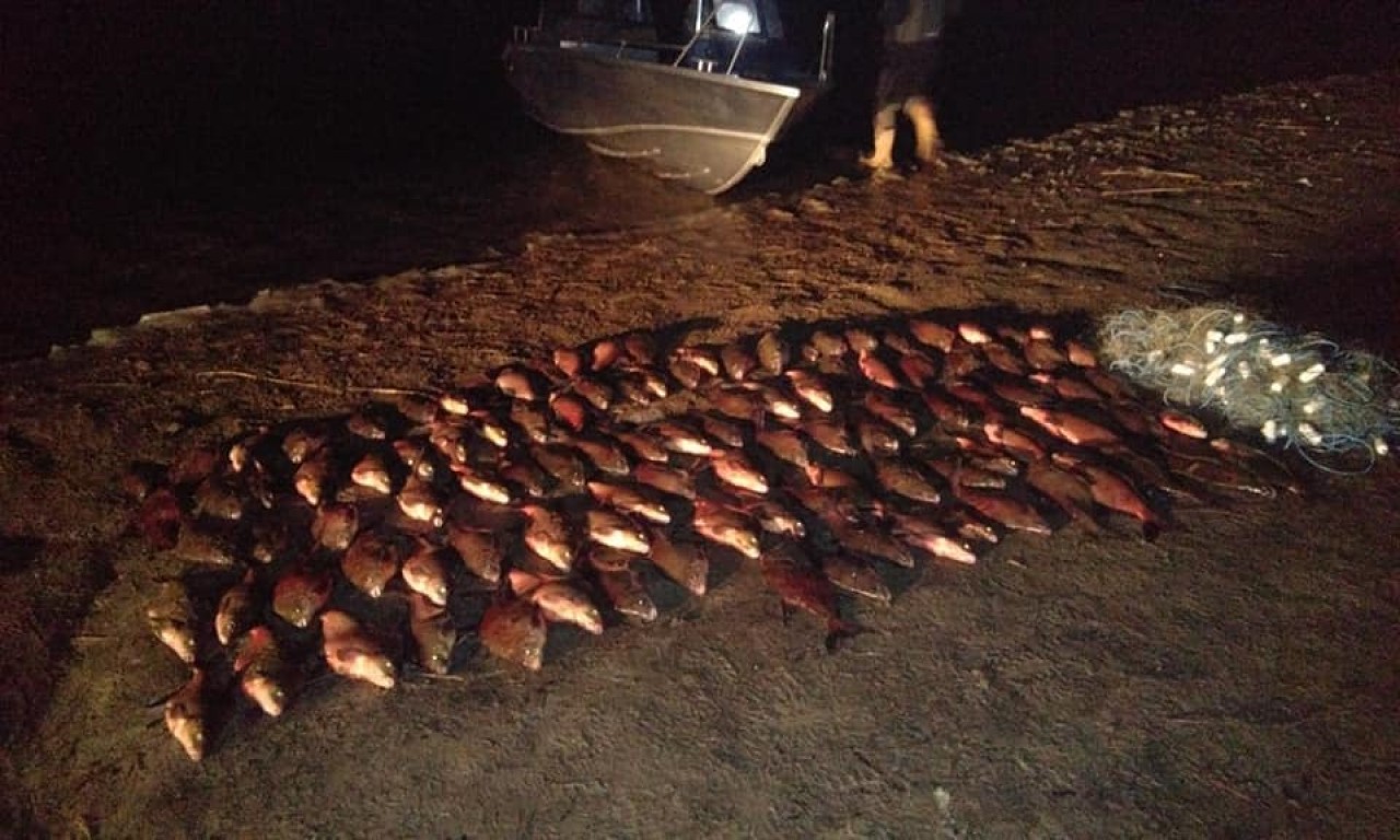 У Липівському заказнику знайшли браконьєрської риби на майже 33 тисячі гривень
