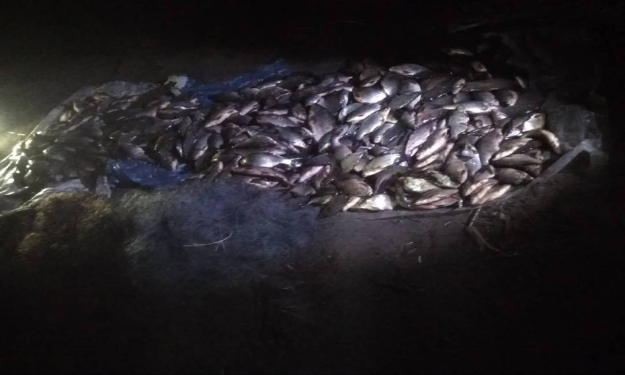 На річці Супій виявлено 22 браконьєрські сітки