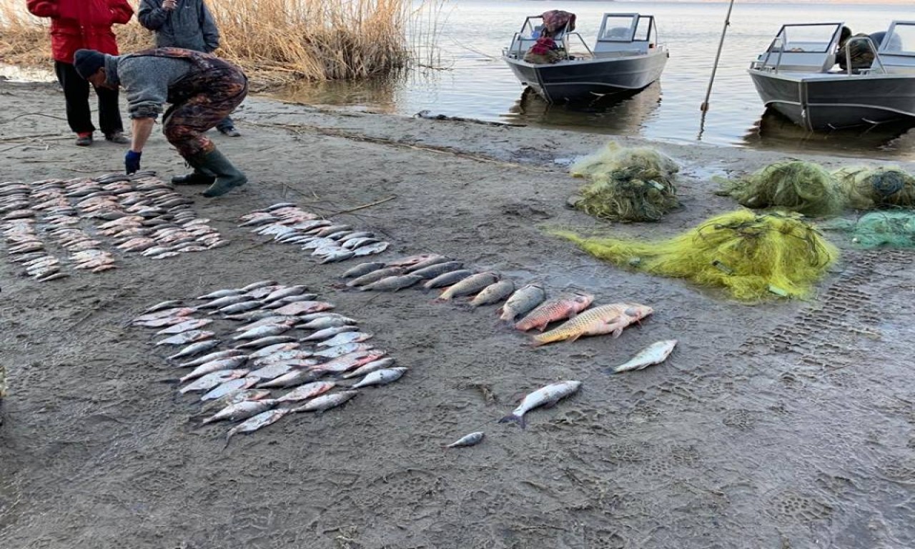 Браконьєрами у Сулинському заказнику виявились працівники Полтавського рибоохоронного патруля (ФОТО)