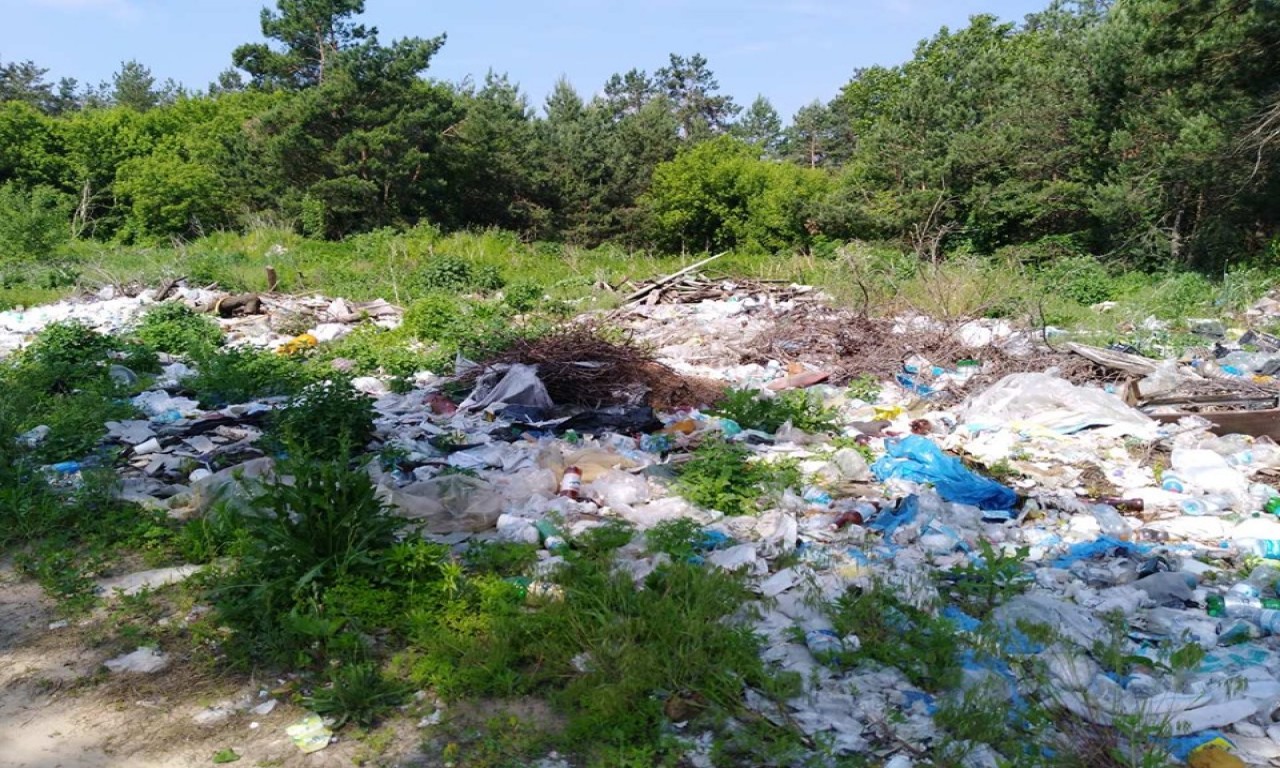 За сміттєзвалище поблизу села покарано сільського голову (ФОТО)
