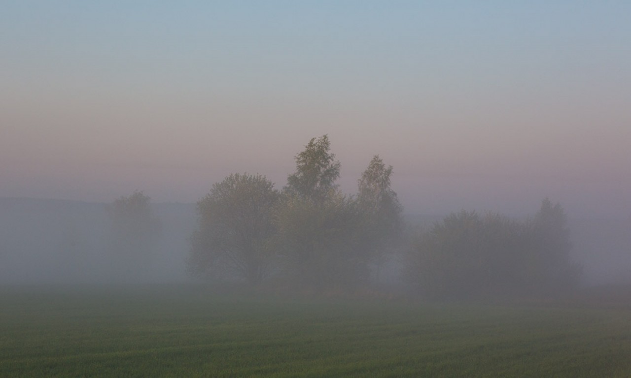 Сьогодні по Черкащині - тумани