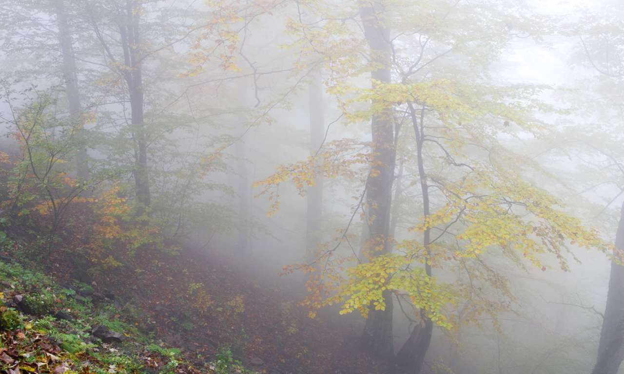 На Черкащині оголосили штормове попередження через туман
