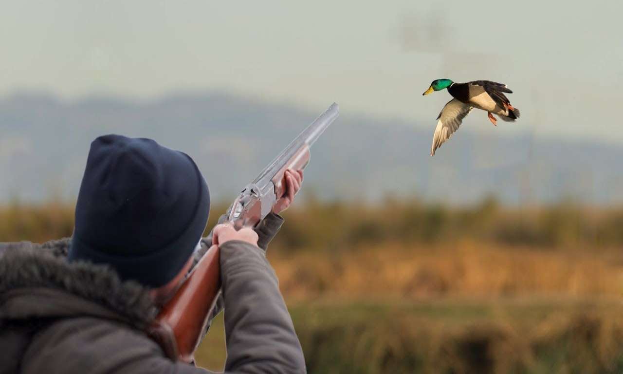 На Черкащині незабаром відкриють сезон полювання