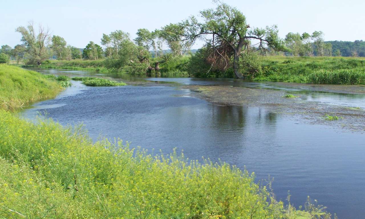 Через посуху у річках Черкащини критично низька водність
