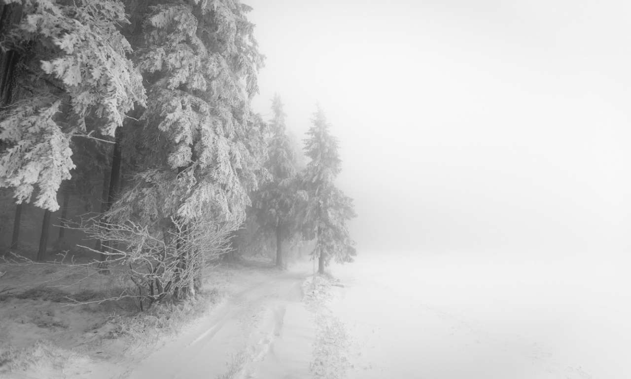 Справжньої зими на Черкащині вже не очікується: прогноз на тиждень
