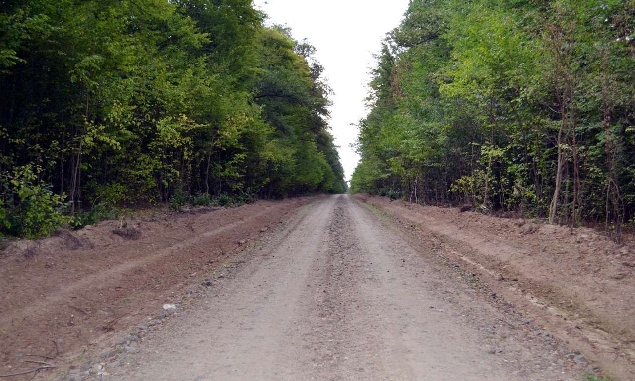 Шість кілометрів лісових доріг створять у Кам`янському держлісгоспі