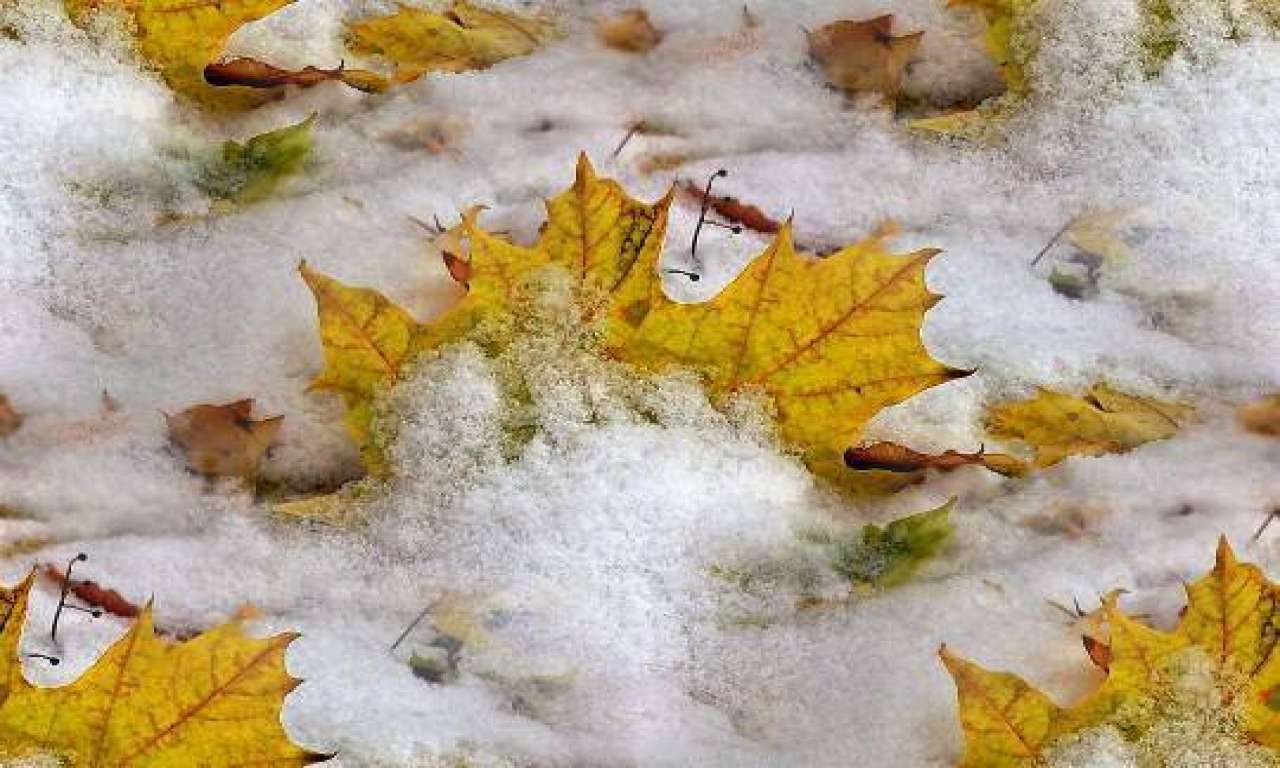 Пік похолодання на Черкащині пройдено: з 29 листопада потепліє