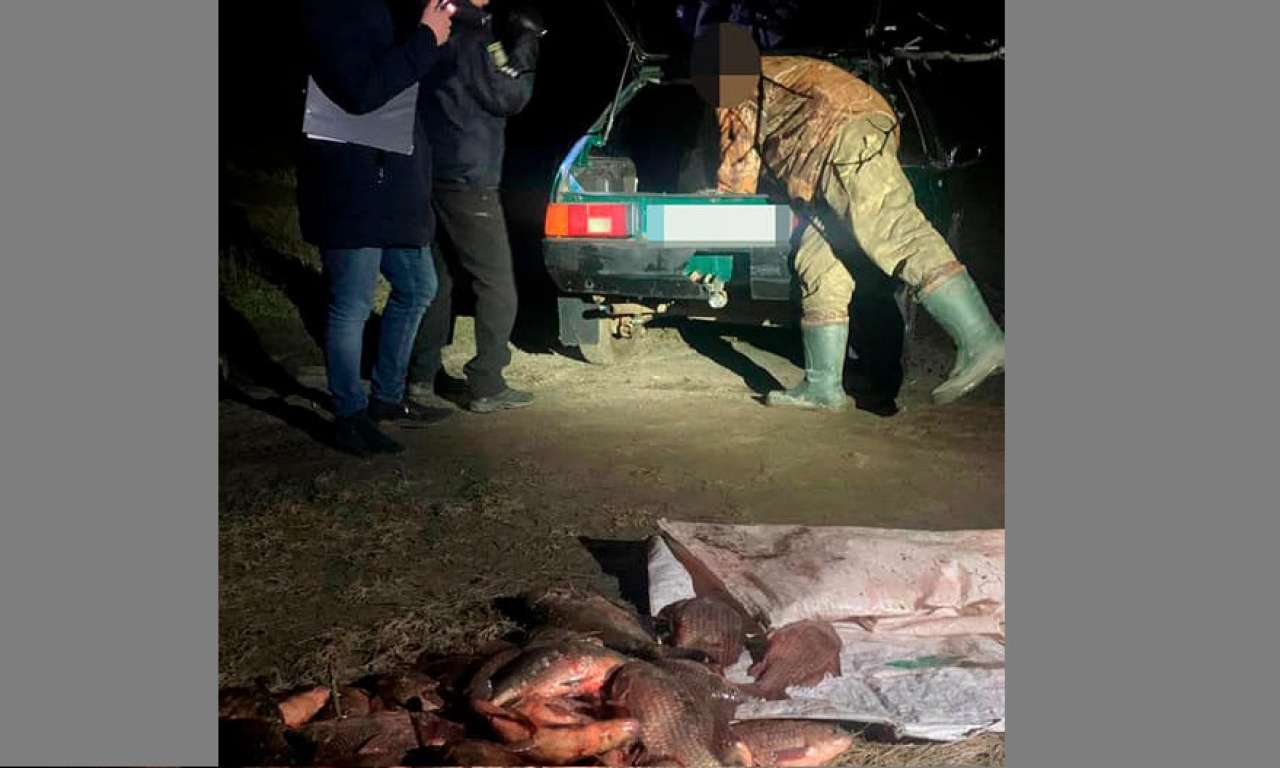 Під Черкасами затримали браконьєрів з двома мішками риби в багажнику (ФОТО)