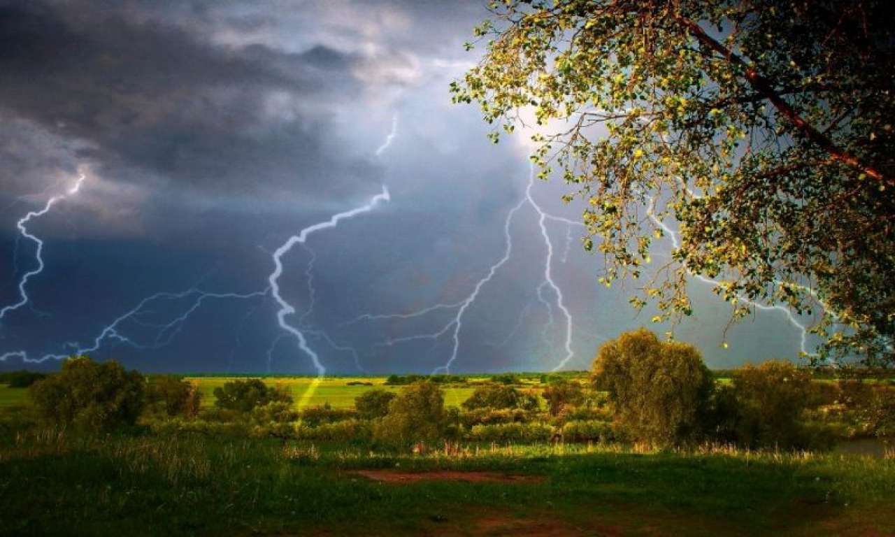 Дощі з грозами та поривчастим вітром прогнозуються на Черкащині