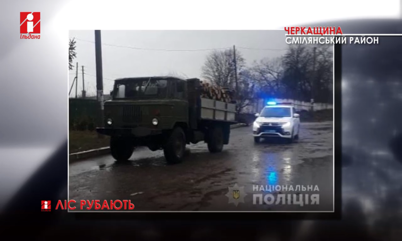 На Смілянщині виявили дві вантажівки з нелегальною деревиною (ВІДЕО)