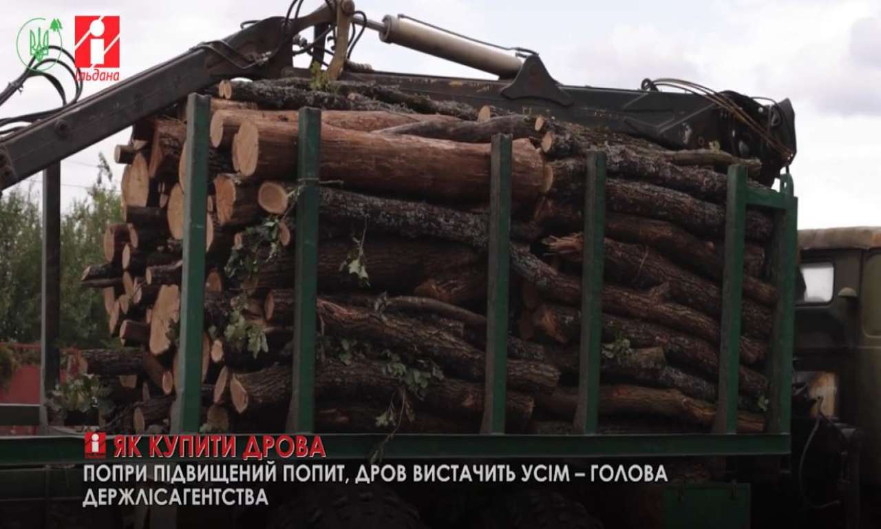 Лісівники Черкащини організували продаж дров для населення (ВІДЕО)