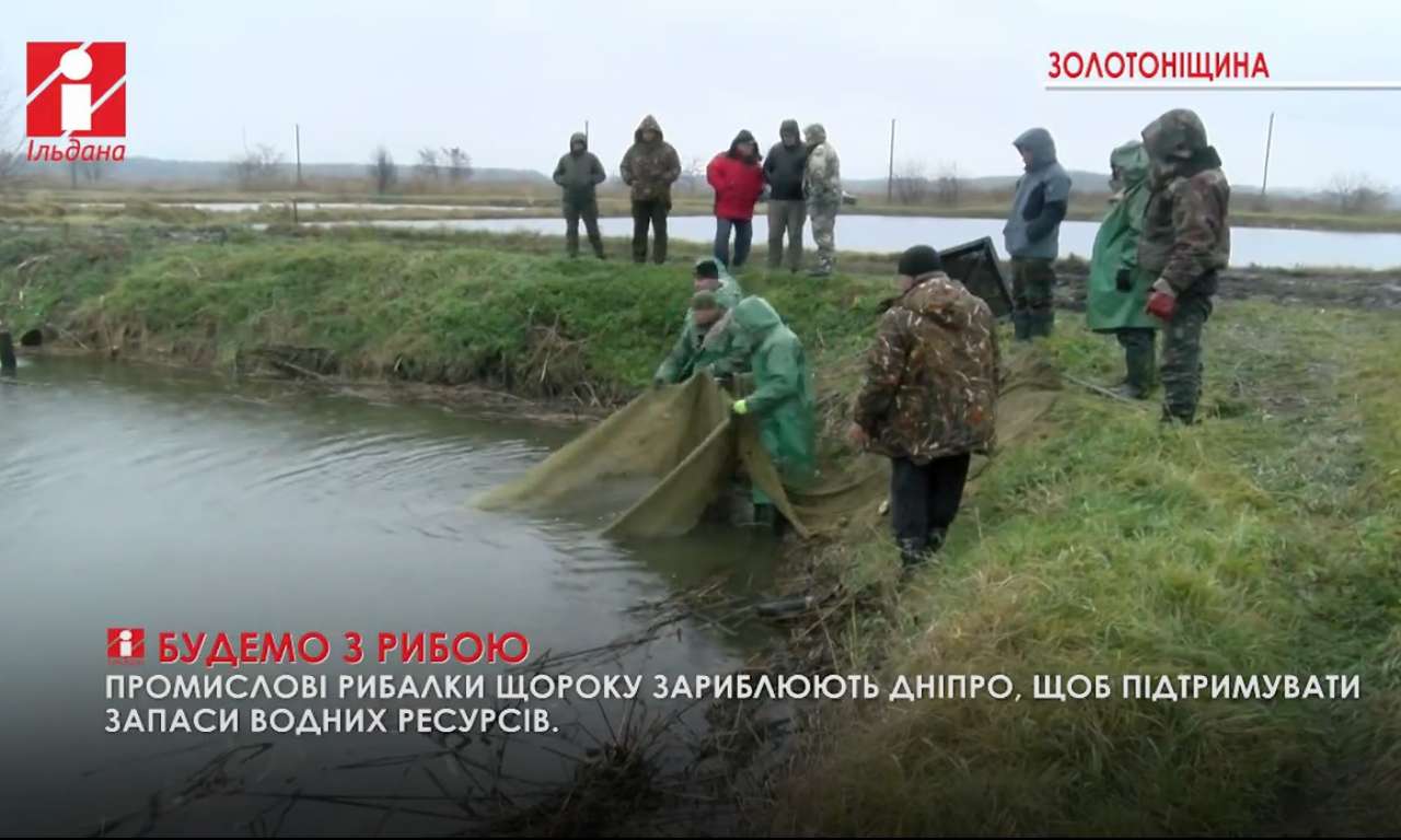 Понад 2 тони товстолоба випустили у Дніпро на Золотоніщині (ВІДЕО)