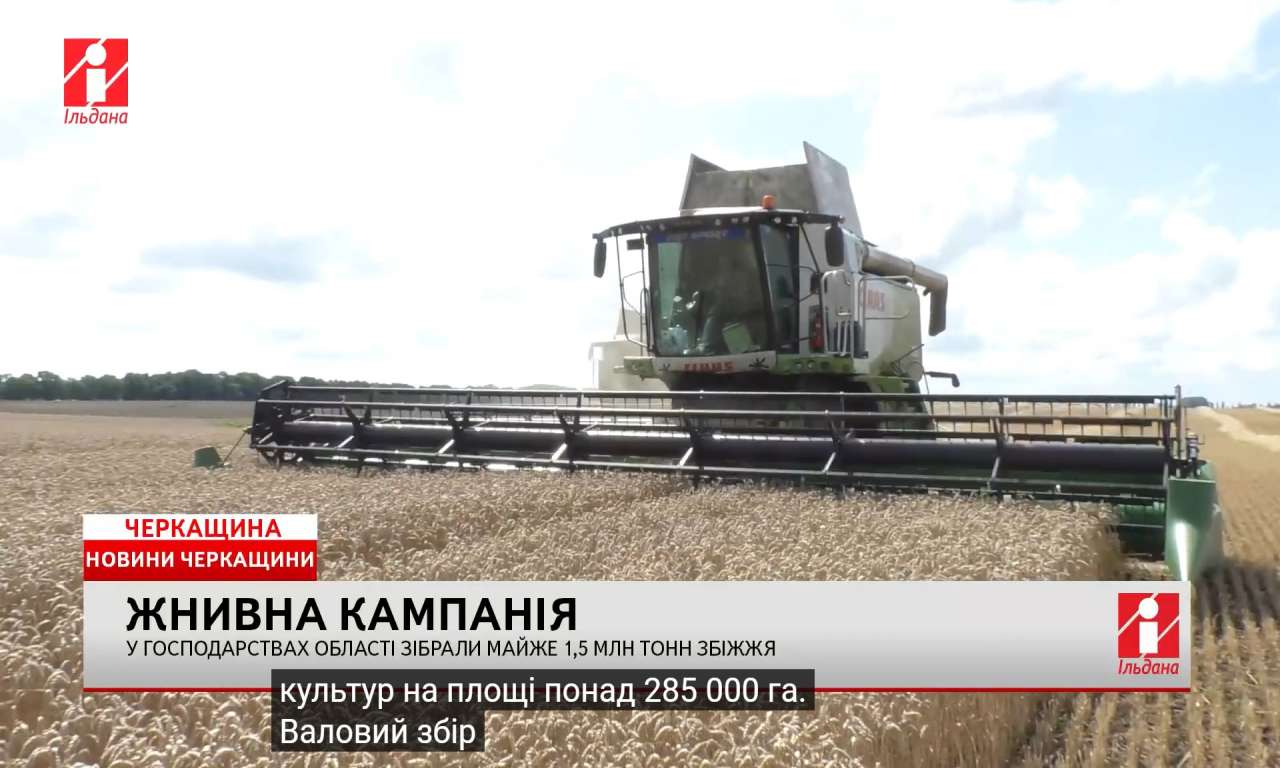 У господарствах Черкащини зібрали майже 1,5 млн тонн збіжжя (ВІДЕО)
