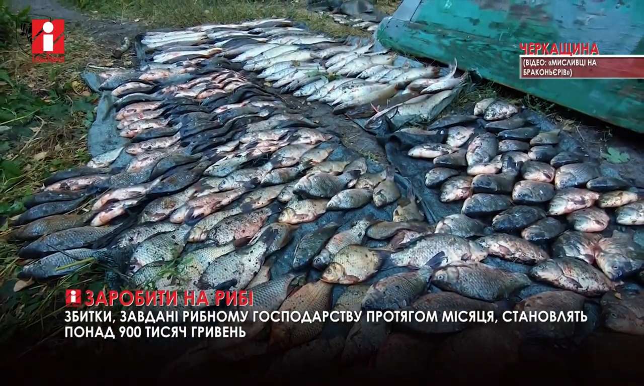 Майже три сотні порушень за місяць: рибоохоронний патруль звітує (ВІДЕО)