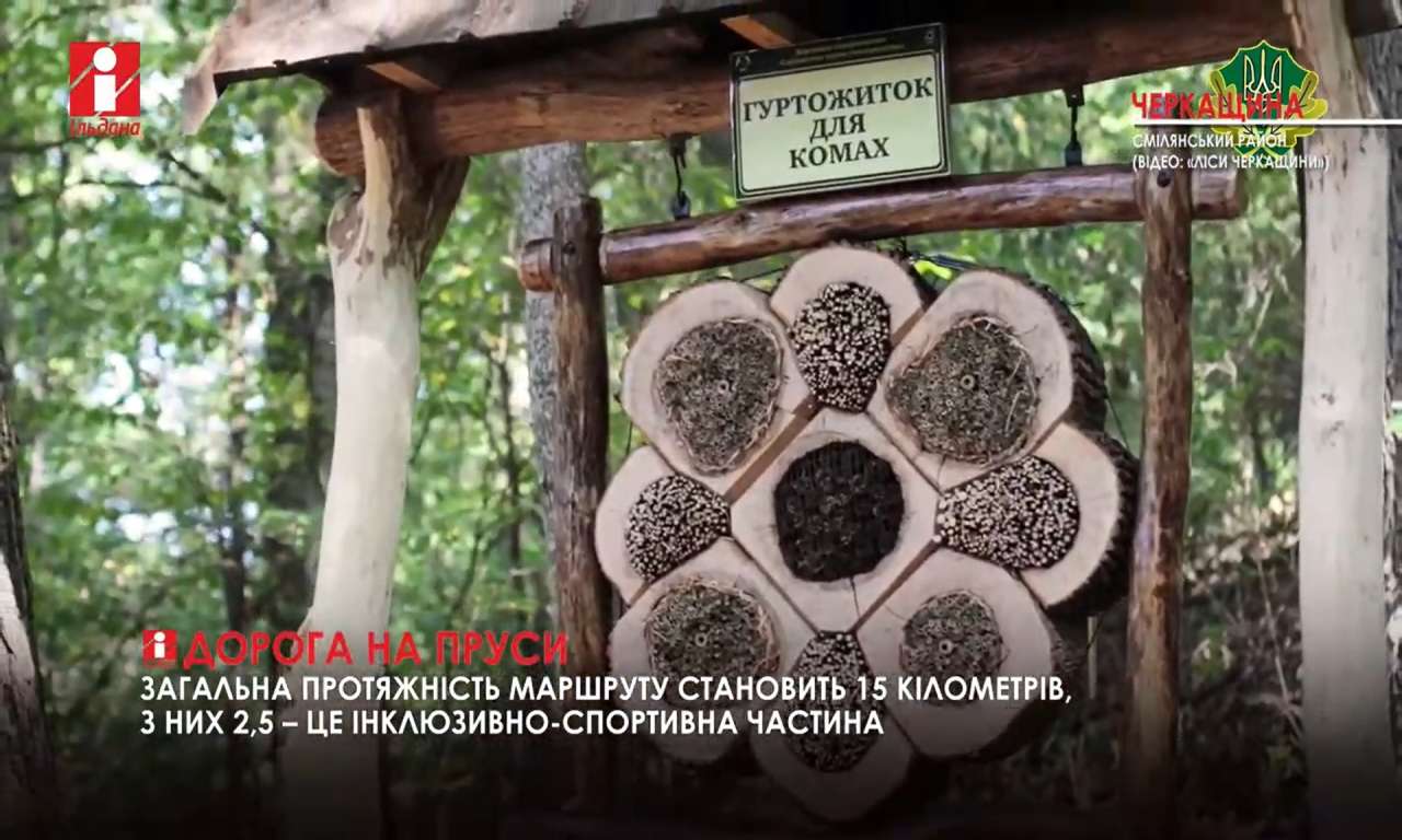 «Дорогу на Пруси» облаштували лісівники у Сунківському лісництві (ВІДЕО)