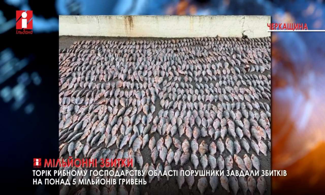Збитків на понад 5 мільйонів гривень завдано рибному господарству області за рік (ВІДЕО)