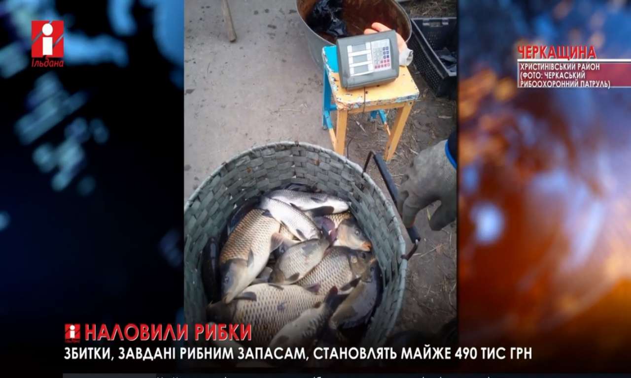 У сільському ставку браконьєри виловили 840 кілограмів риби (ВІДЕО)