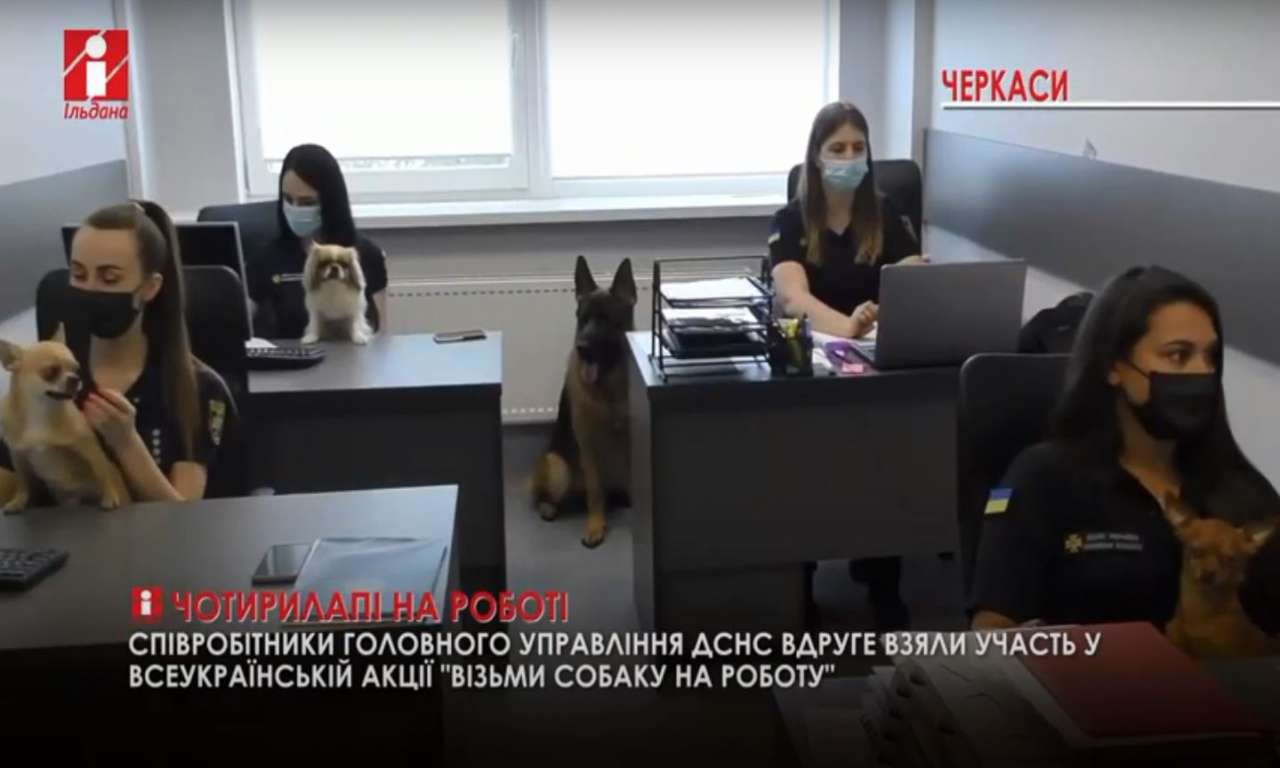 Черкаські рятувальники взяли участь в акції «Візьми собаку на роботу» (ВІДЕО)