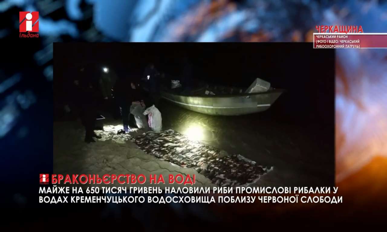 Майже на 650 тисяч гривень наловили риби поблизу Червоної Слободи (ВІДЕО)