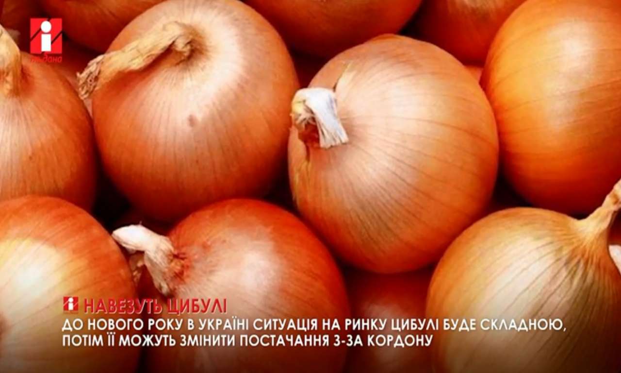 Ситуація на ринку цибулі в Україні буде складною до нового року (ВІДЕО)