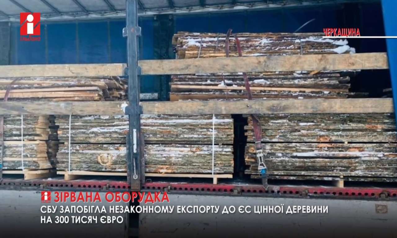 Підприємиця з Черкас намагалася незаконно вивезти цінну деревину до Європи (ВІДЕО)